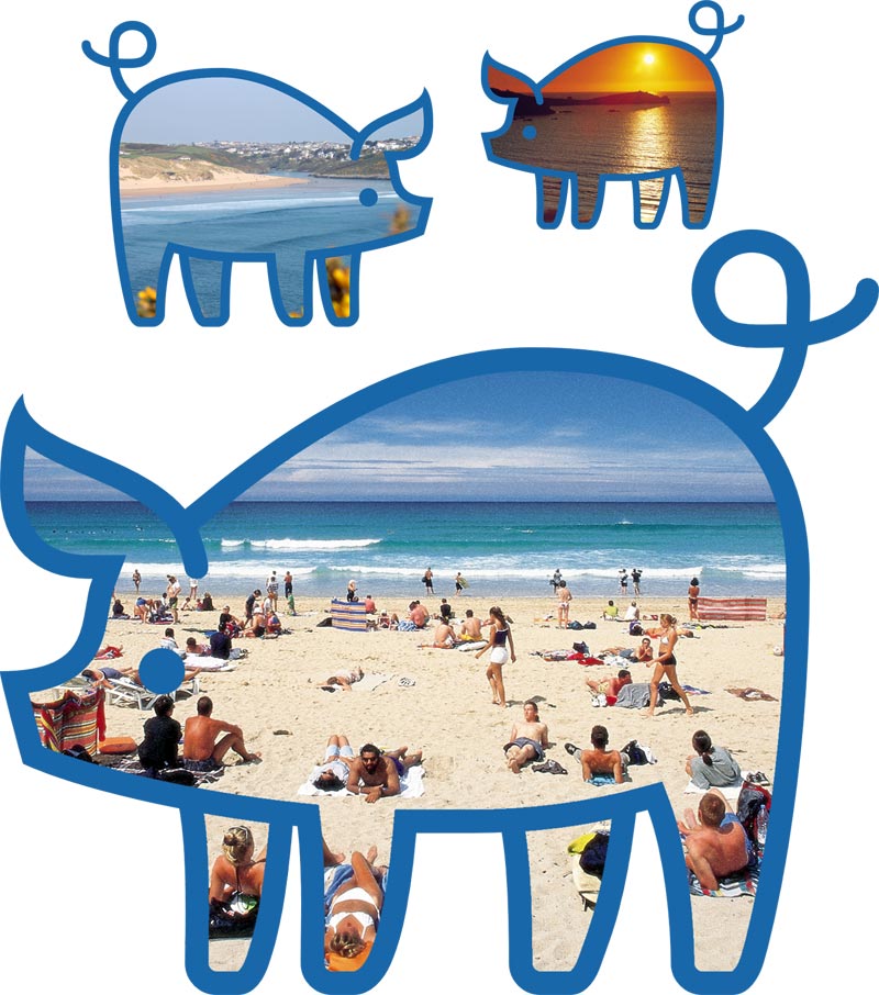 Piggies Camping Touring Campsite Cornwall